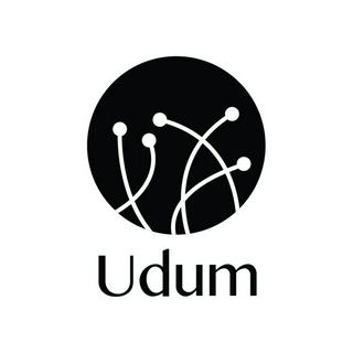 Trang sức phong thủy UDUM