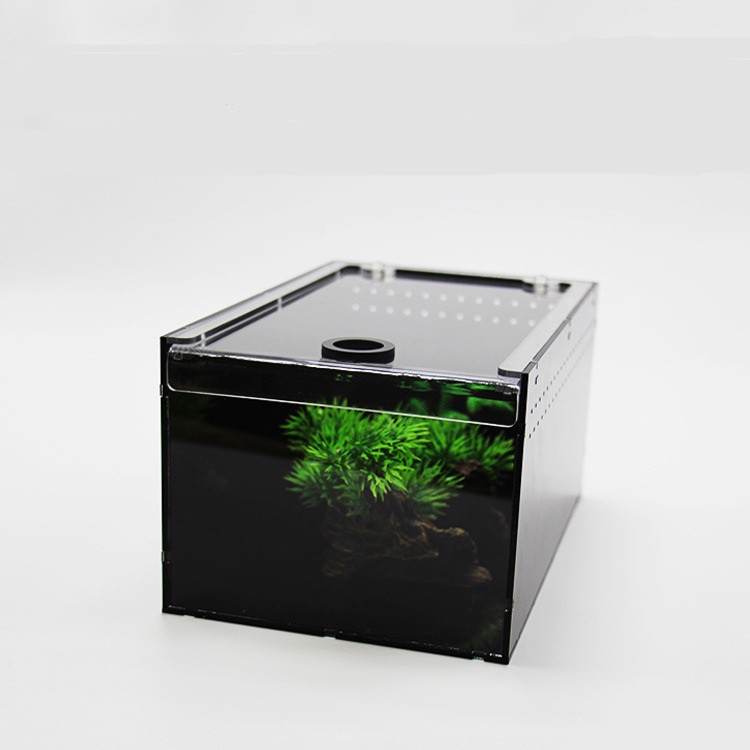 Hộp nuôi bọ cạp nhện rết ếch bò sát cao cấp