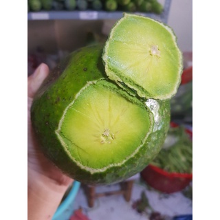 1 kg bơ booth đặc sản đaklak, giao nhanh 1-2h