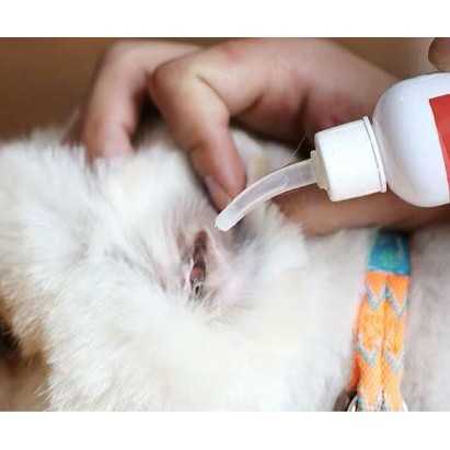 Nước Rửa Vệ sinh Tai Cho Chó Mèo Ear Care Bioline 50ml