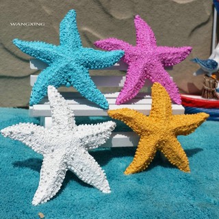 Set 2 mô hình sao biển mini trang trí bể cá đẹp mắt