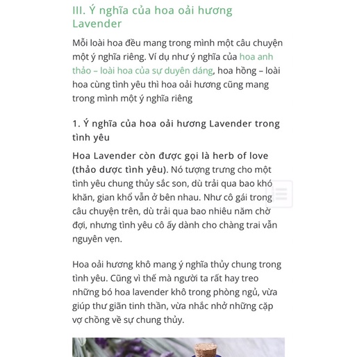 Hoa khô Lavender Pháp Sale