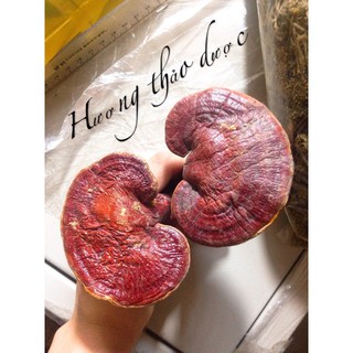 100g Nấm Lim Xanh ( khô )