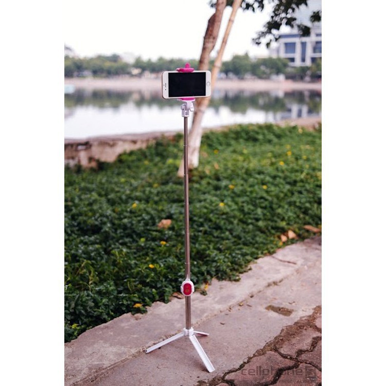 Tripod Chụp Hình Selfie Bluetooth 3in1 BX Electronics WXY-01 - Chất Lượng Cao - Giá Shock | BigBuy360 - bigbuy360.vn