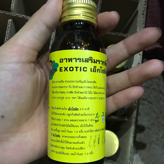Thuốc kích rễ thái lan ( nhập khẩu )