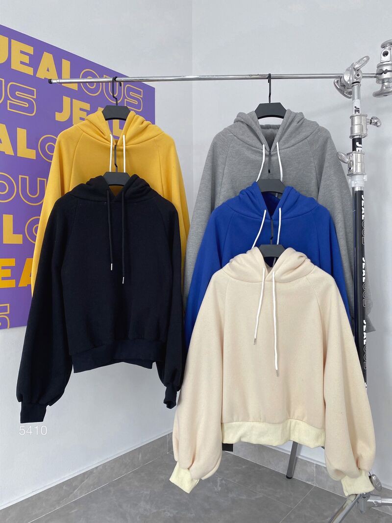 Áo hoodie nữ, áo hoodie crop trơn 5410 | BigBuy360 - bigbuy360.vn