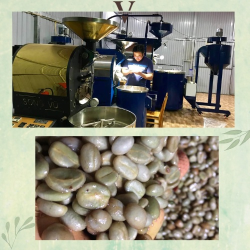 Cà phê Arabica Cầu Đất, cafe nguyên chất từ Song Vũ Farm đắng dịu, chua thanh, hậu vị ngọt cafe pha phin 500g | BigBuy360 - bigbuy360.vn