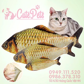 😸 Đồ chơi Cá bông kèm catnip dành cho mèo - Cutepets