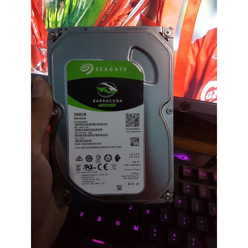 Ổ Cứng 500gb 1 Năm | BigBuy360 - bigbuy360.vn