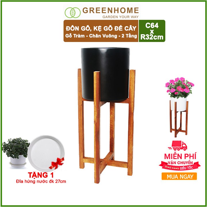 [FREESHIP 70K] Đôn gỗ, kệ kê chậu cây nội thất 2 tầng bằng gỗ Tràm C64x32cm 🎁Tặng kèm dĩa lót D27cm🎁