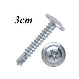 100gr vít dù đuôi cá nhiều kích thước (Vít bắn sắt đầu lồi chữ thập)