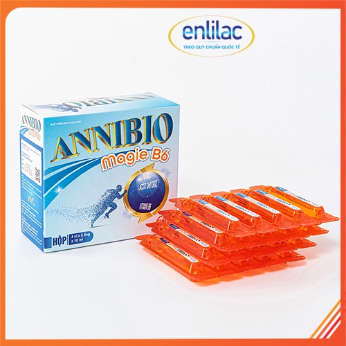 ANNIBIO B6 - Hỗ trợ cải thiện suy nhược thần kinh, hạn chế đau dây thần kinh ngoại biên hộp 20 ống 10ml