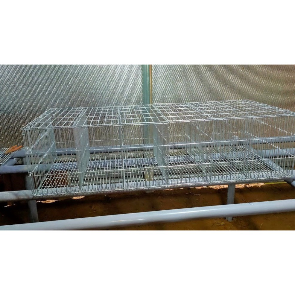Lồng nuôi thỏ thịt - Chuồng nuôi thỏ 6 ô