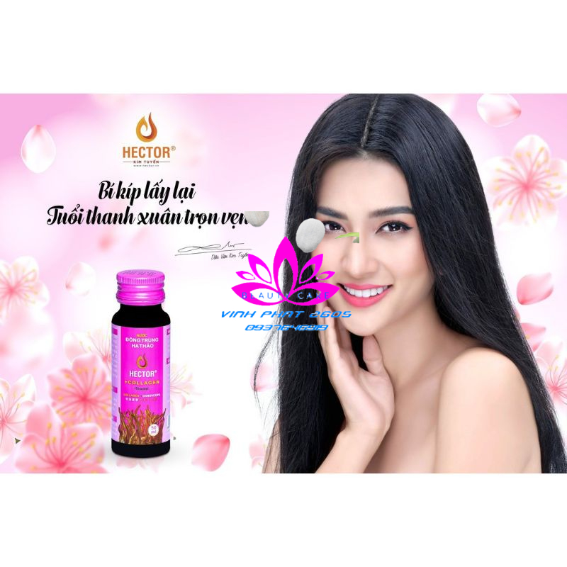 0✅Nước Đông Trùng Hạ Thảo Hector Collagen Hộp 10 Chai [Freeship] ❤️ Hector