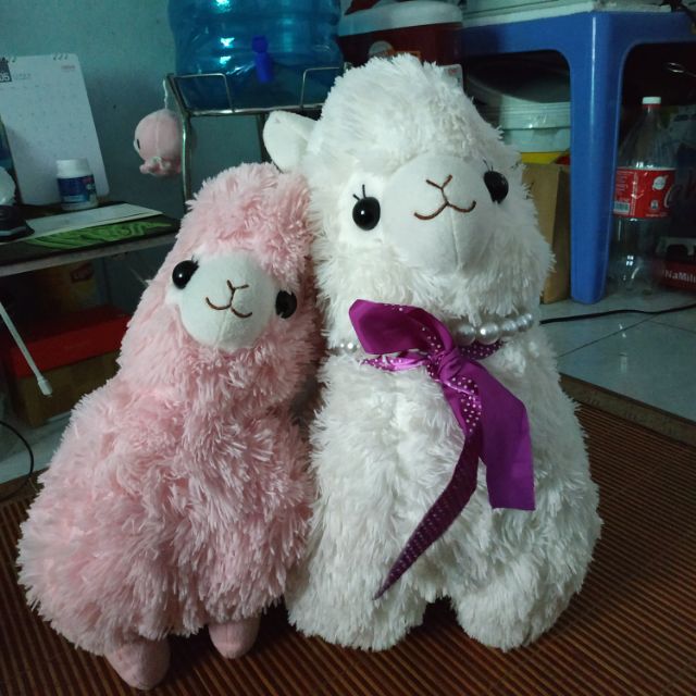 Gau bong Cuu Amuse Real