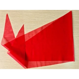 [FREESHIP] Khăn quàng đỏ dành cho học sinh CAP CẤP