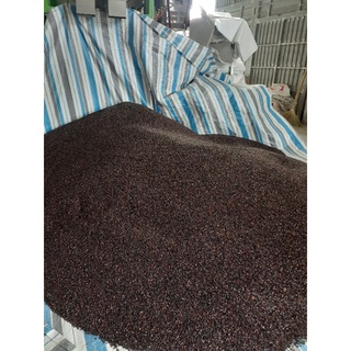 com bo nứt đen nứt đỏ dẻo, nứt tẻ đỏ, nếp cẩm 5kg