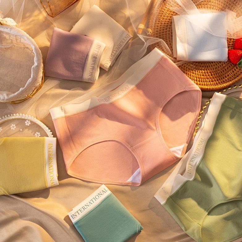 Quần Lót Nữ Cotton Cạp Su Chữ Kháng Khuẩn Màu Sắc Trẻ Trung Cao Cấp - 8858