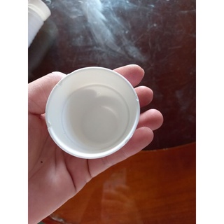 Chậu nhựa cắm hoa