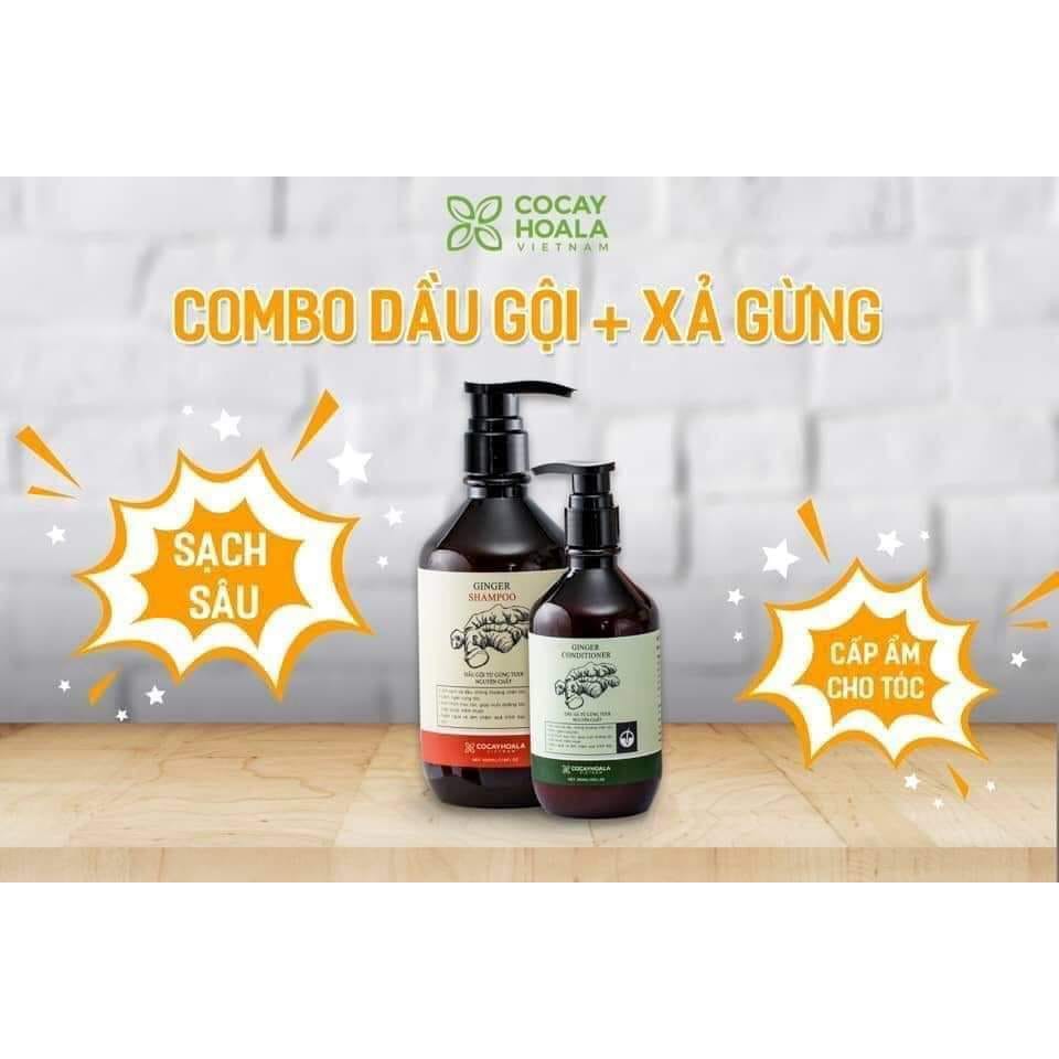 Dầu gội  🍀FREESHIP🍀 Dầu Gội Thiên Nhiên Chứa vụn Gừng Tươi Cocayhoala 500ml[dau goi ] | BigBuy360 - bigbuy360.vn