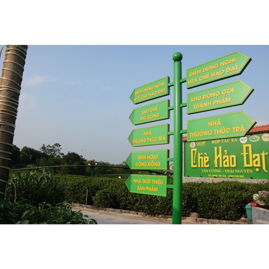 Hộp Chè Tôm Nõn 200gram Hảo Đạt - Hợp Tác Xã Chè Hảo Đạt - Chè Tân Cương Thái Nguyên