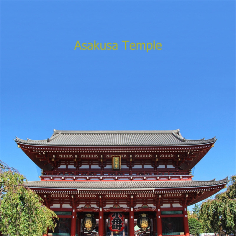 Mặt móc khóa hình chú rùa vàng bằng hợp kim lớn 5cm