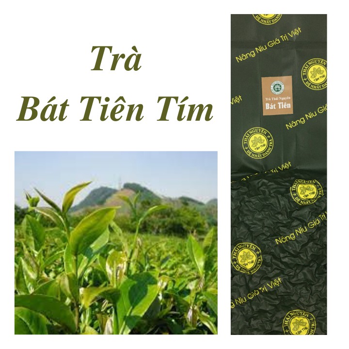 Trà Bát Tiên tím Tân Cương Trà Xanh Tâm Thái Chè Thái Nguyên 100g