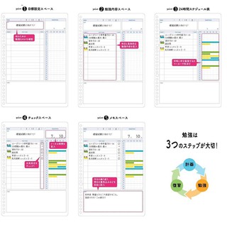 Set 30 Giấy Refill Binder Campus Study Planner Học Tập B5 Cây Đầu To