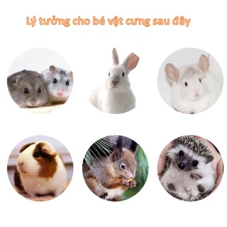 Cành táo mài răng cho Hamster , Sóc, Nhím