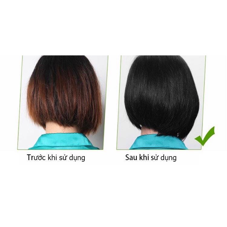 Dầu gội Phủ Bạc Nhân Sâm Sin Hair | BigBuy360 - bigbuy360.vn