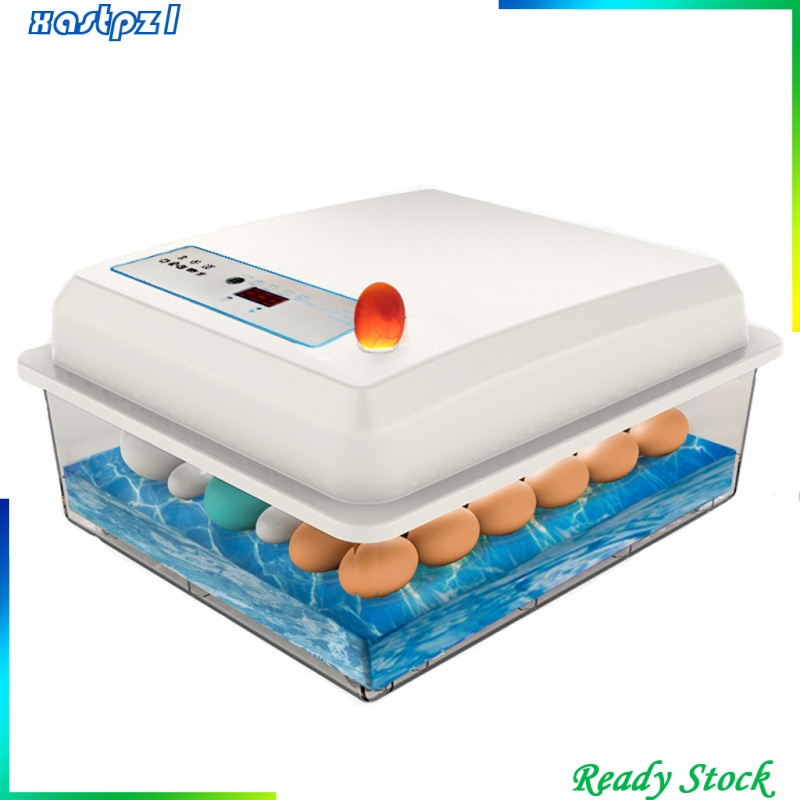 Máy Ấp Trứng Kỹ Thuật Số Tự Động Xastpz1