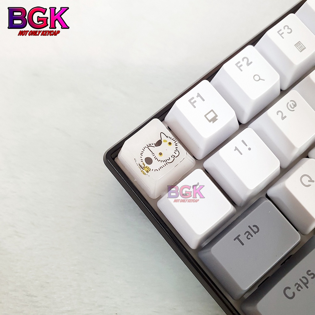 Keycap Lẻ Artisan OEM Profile Chủ Đề Những Chú Mèo Cute 1 ( cast resi, keycap resin độc lạ )