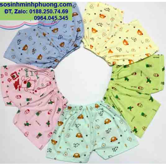 Quần đùi gấu 10 chiec : Xuất sứ: Việt Nam