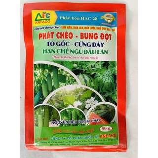 PHÁT CHÈO * BỤNG ĐỌT, ĐÂM ĐỌT * TO GỐC * CỨNG DÂY * HẠN CHẾ NGÙ ĐẦU LÂN * Gói 50 g