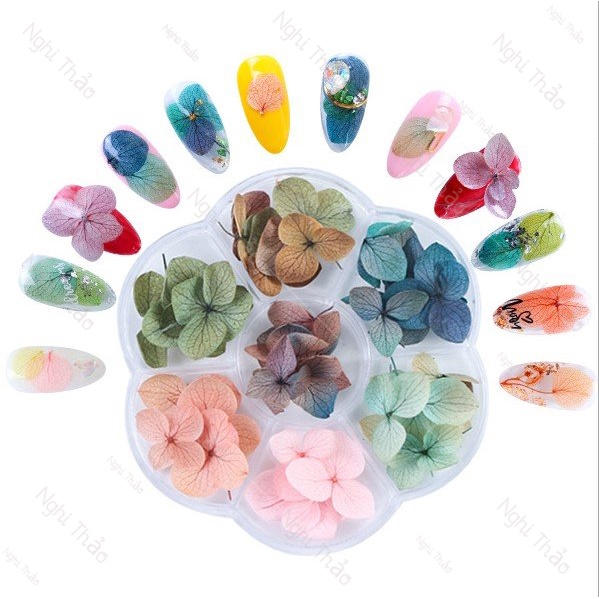 Hoa khô nail LADURA trang trí móng tay cánh to 7 màu