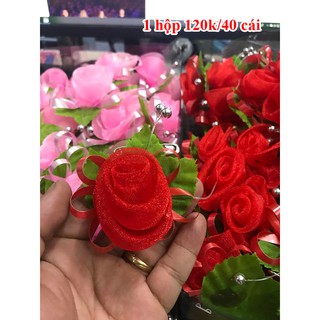 hoa cài áo hai họ