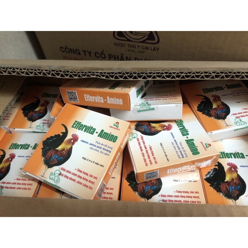 Effervita-Amino viên bổ sung vitamin cho chim căng lửa, gà và thú cảnh khoẻ mạnh