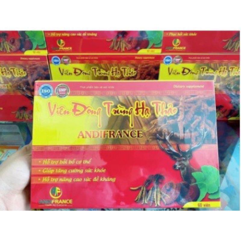 viên đông trùng hạ thảo ANDIFRANCE