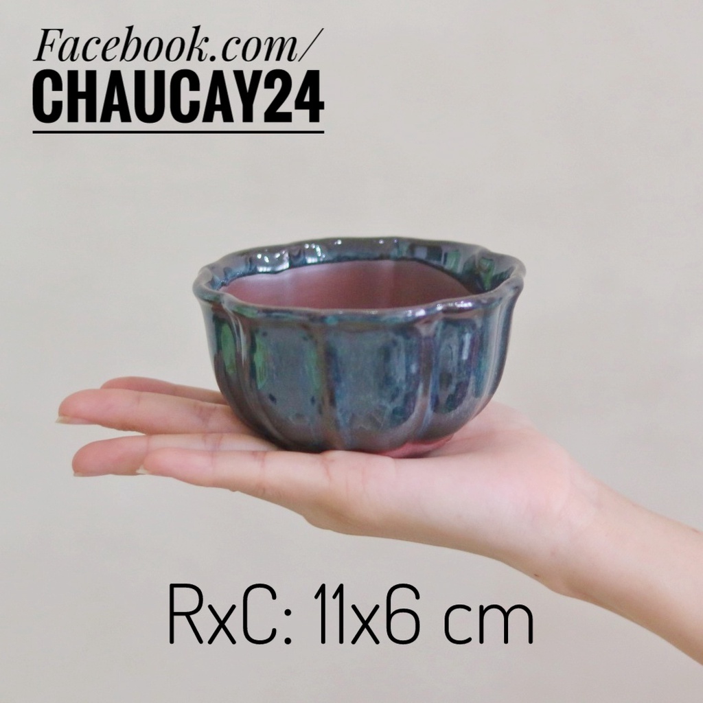Chậu Cây Cảnh Để Bàn, Cây nội thất, Cây Bonsai, sen đá Hình Tô Sứ