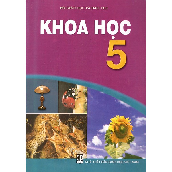 Sách - Khoa học lớp 5+ 1 bọc