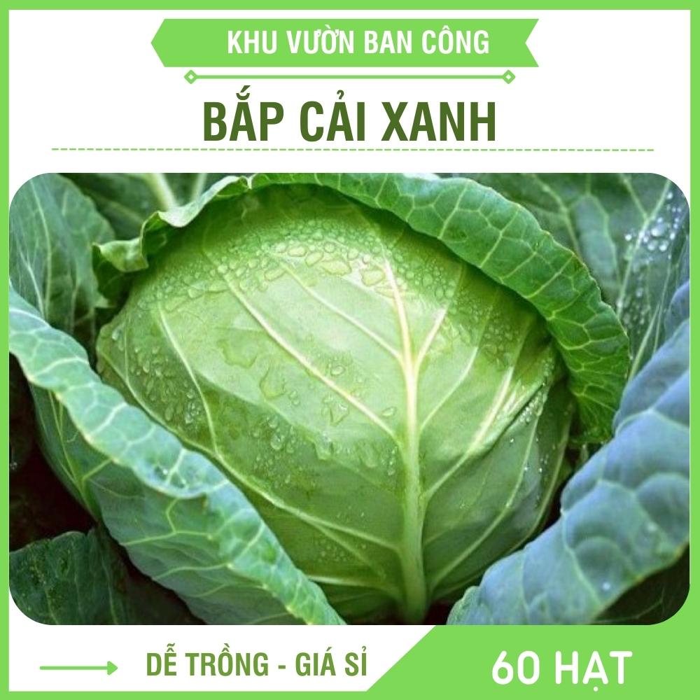 Hạt Giống Rau Bắp Cải Xanh Cao Sản Quấn Chặt, Bắp To Gói 1G 60 Hạt - Khu Vườn Ban Công