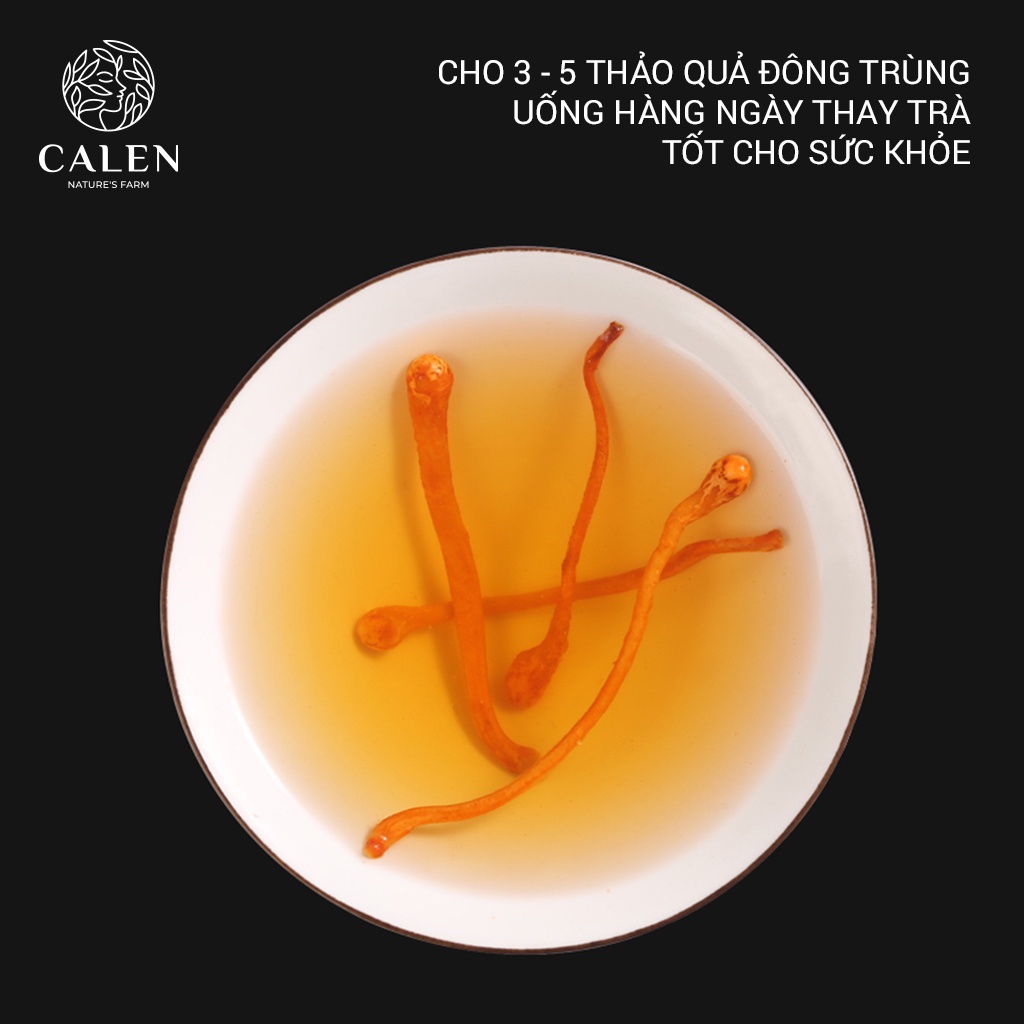 Trà Đông Trùng Hạ Thảo Sấy Khô Giúp Bồi Bổ Cơ Thể, Nâng Cao Sức Khỏe