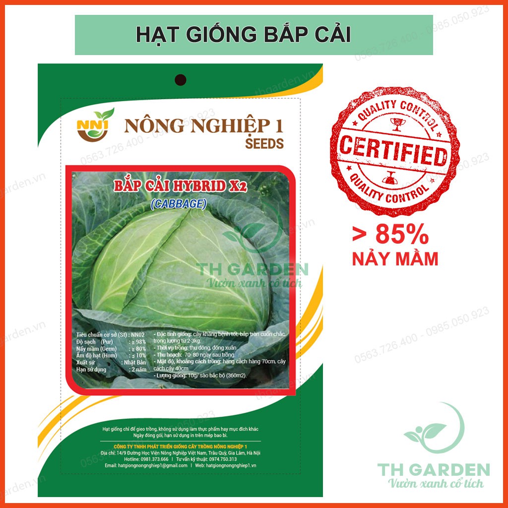 Hạt Giống Bắp Cải Hybird 2gr - Cải Bắp Xanh - Bắp Tròn, Cuốn Chắc