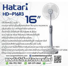 Hatari HD-P16M3 | Quạt cây Hatari không điều khiển