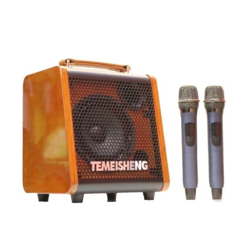 Loa kéo karaoke mini Temeisheng JT0653