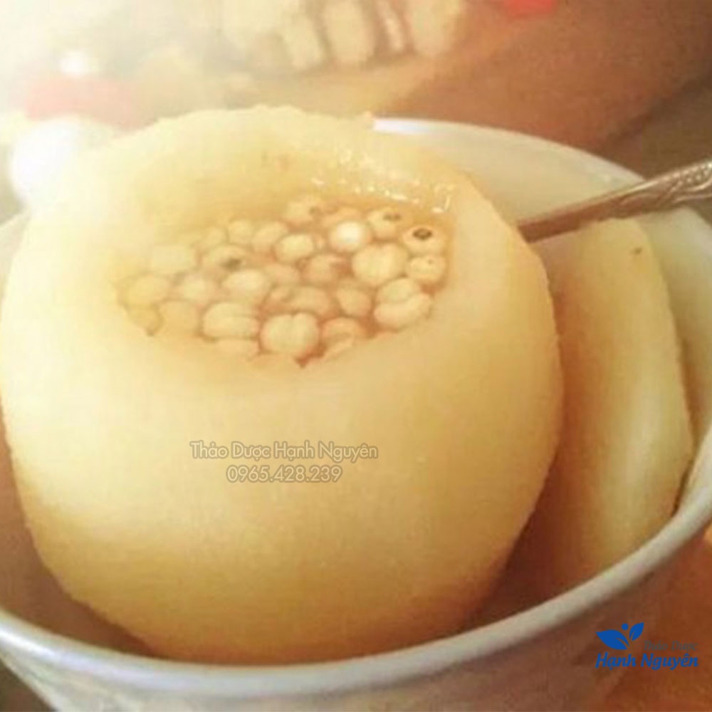 Xuyên bối mẫu 1kg (Bối mẫu tứ xuyên, hỗ trợ ho, đau họng) - Thảo Dược Hạnh Nguyên