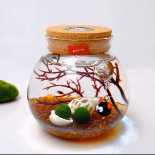 Set Tảo cầu Marimo bình thuỷ tinh đèn LED (như hình)