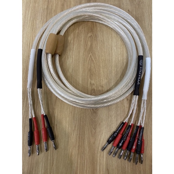Dây loa bi-wire