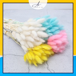 Hoa khô cỏ đuôi thỏ, cỏ lau Mỹ, decor chụp ảnh, trang trí bình gốm sứ, lọ thủy tinh trưng bày phòng khách, phòng ngủ,...