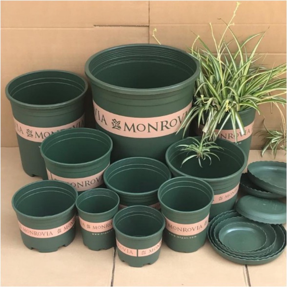 Chậu Nhựa Monrovia (Kèm Đĩa Lót) 7GL Chuyên Trồng Cây Và Hoa Kích (CMR-001-07GL)